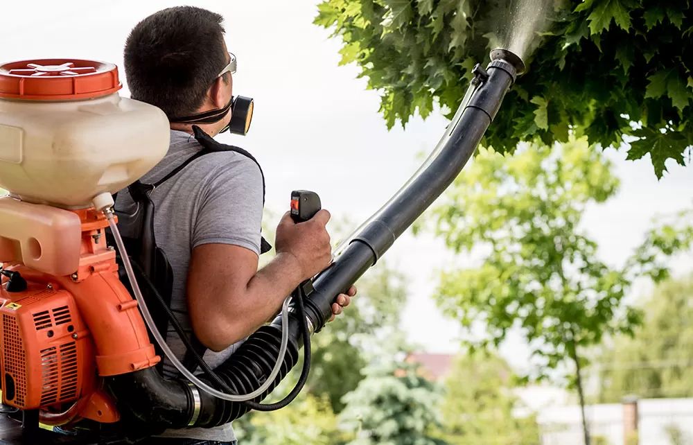 Professionals Applying a Fungicide