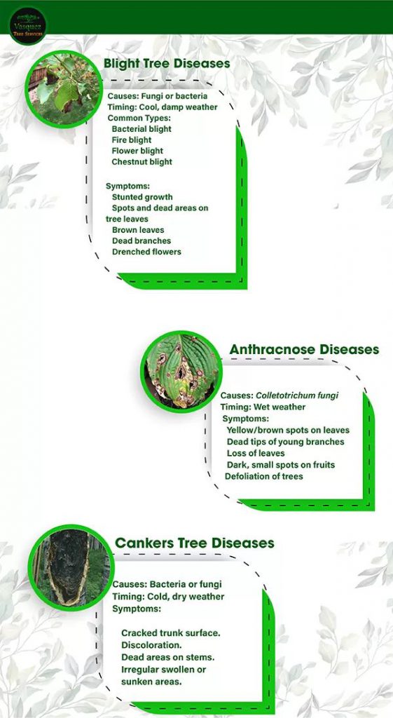 Blight Cankers and Anthracnose Disease