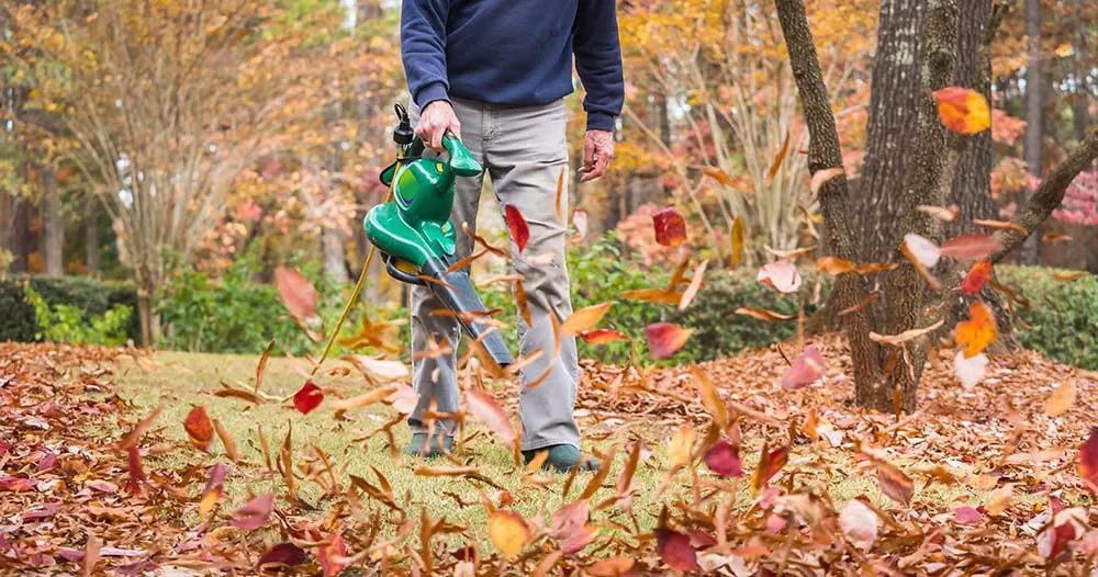 Leaf blowers