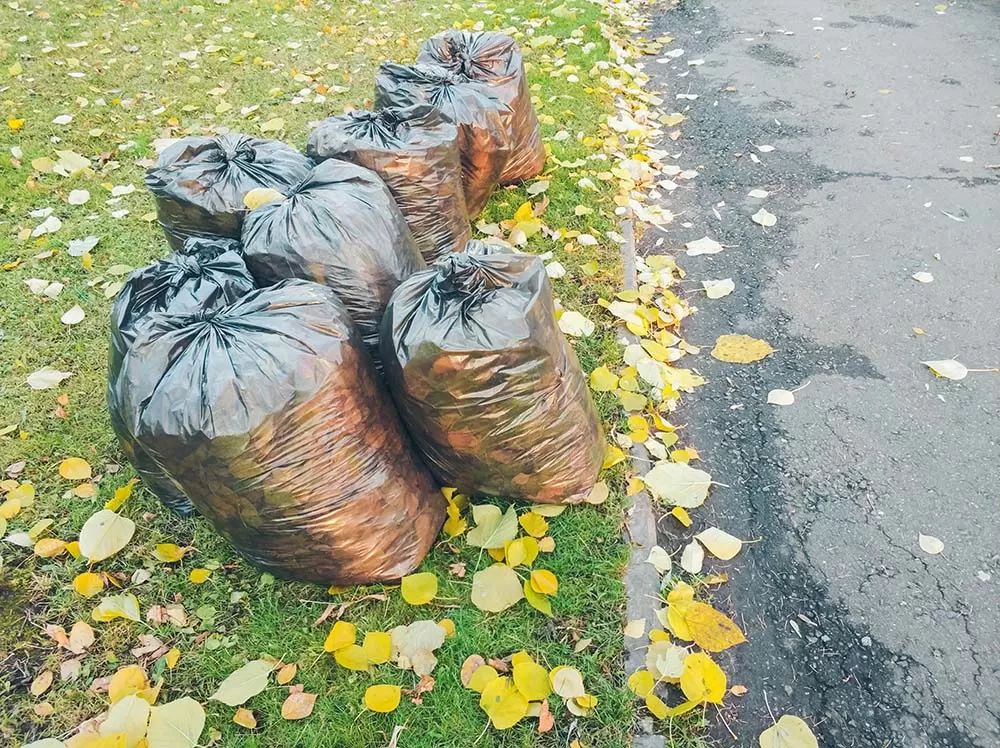 Place piles of leaves in bags