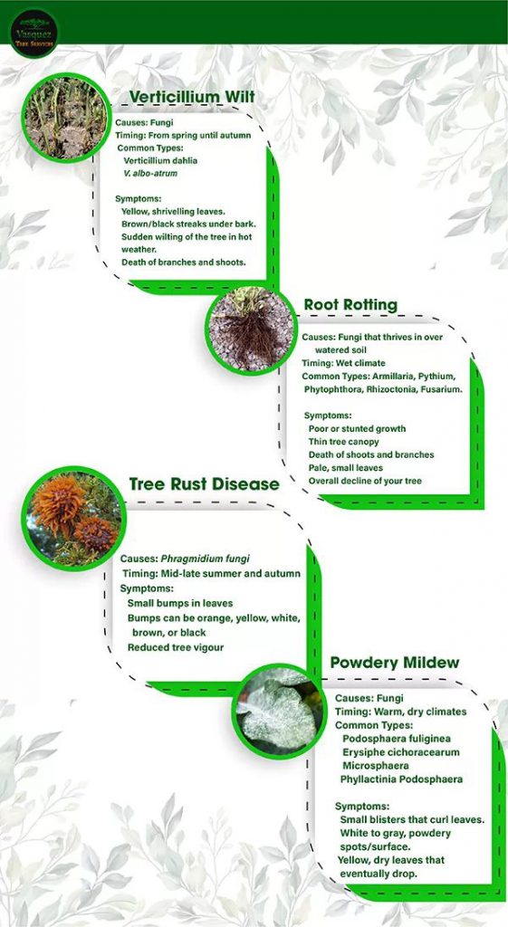 Wilt Rust Root Rot and Powdery Mildew