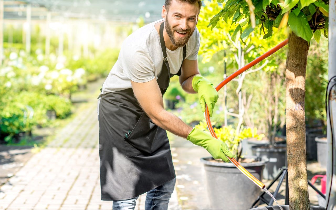 check if your trees have excess water