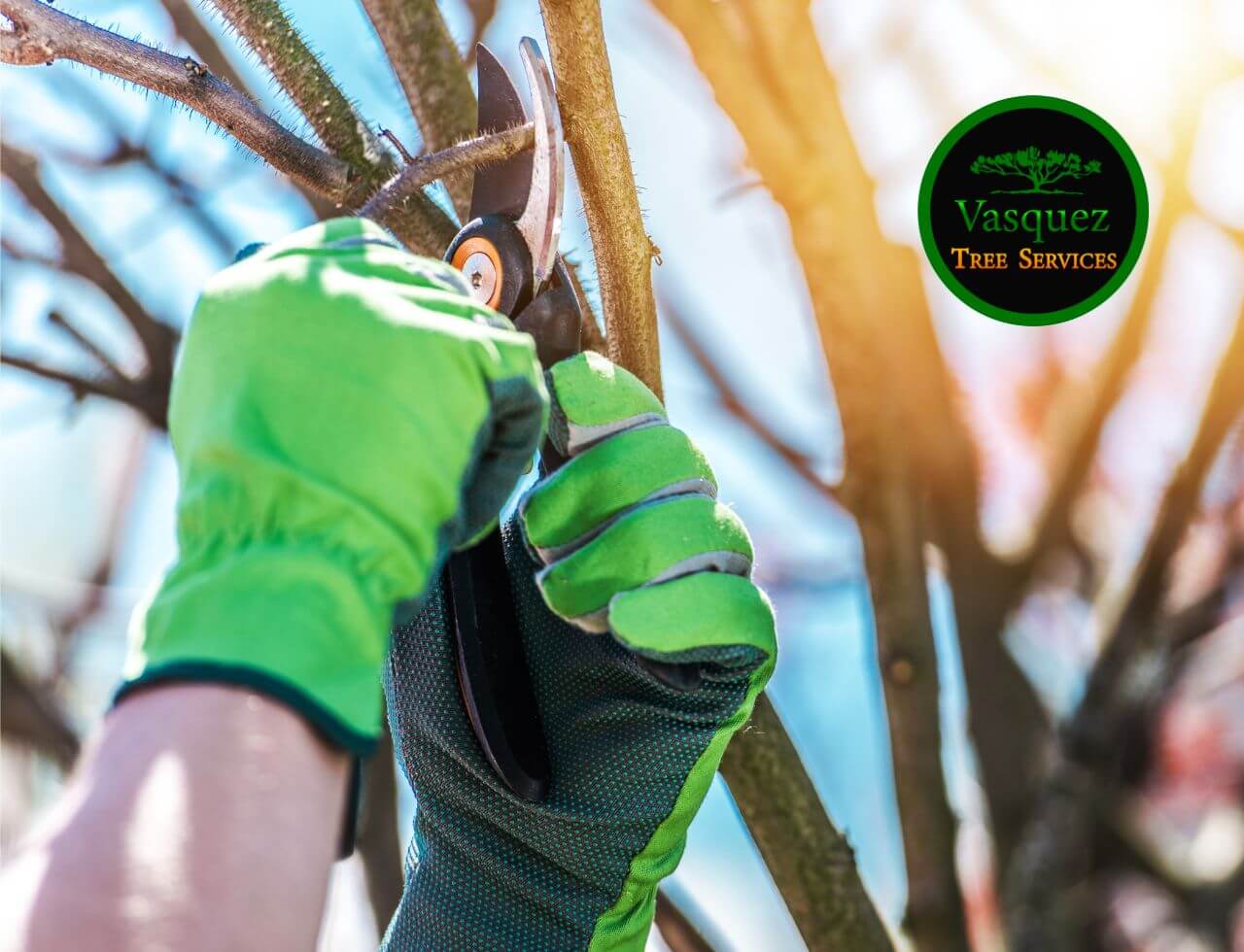 Tree Trimming Safety Equipment