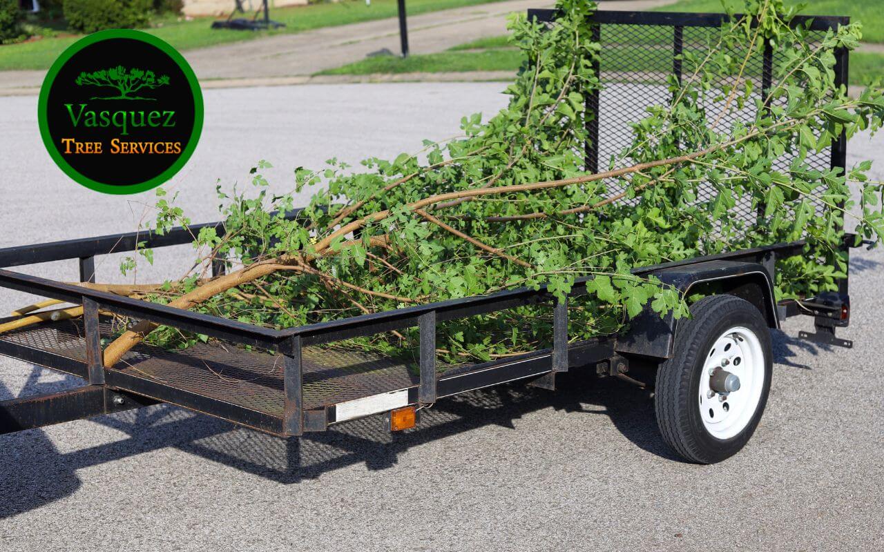 Professional tree branch removal services by Vasquez Tree Service ensure safe and efficient disposal