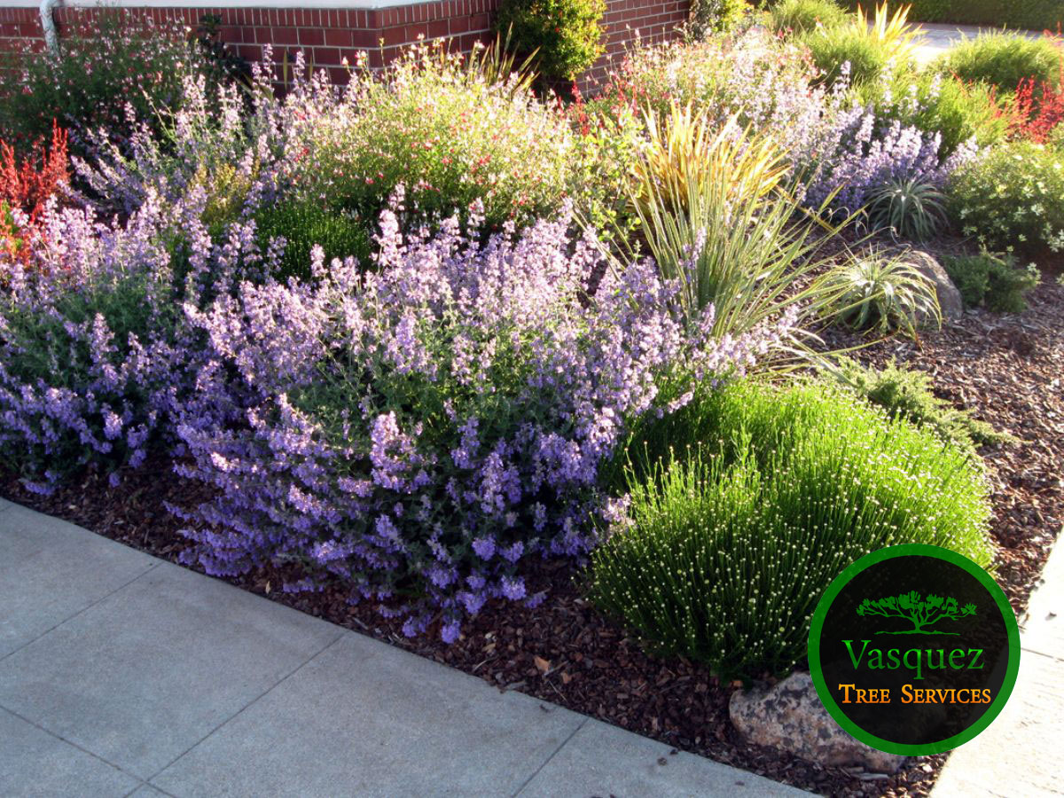 Wood chips used for a natural garden pathway