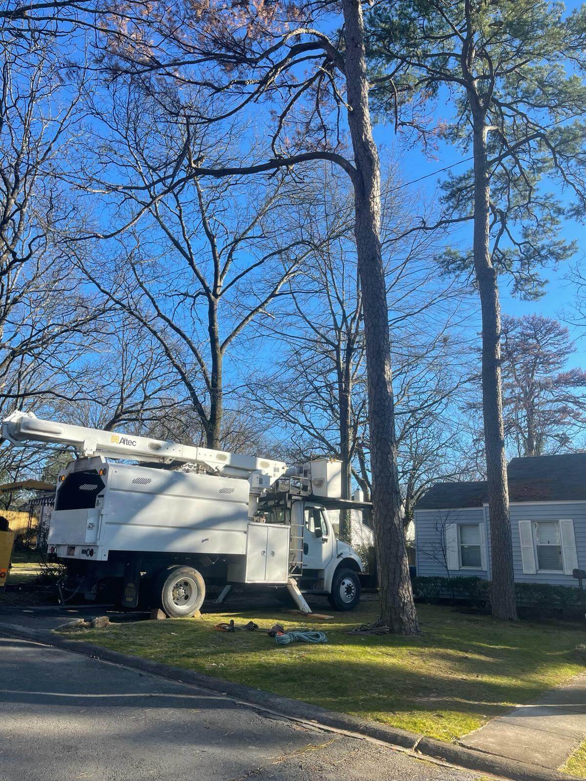 Tree Services Little Rock AR