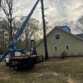 Tree Services Little Rock AR