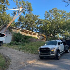 Tree Services Little Rock AR