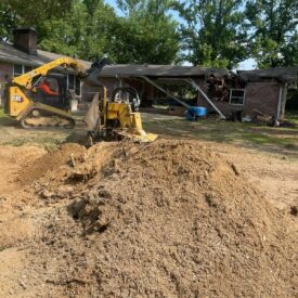 Tree Services Little Rock AR