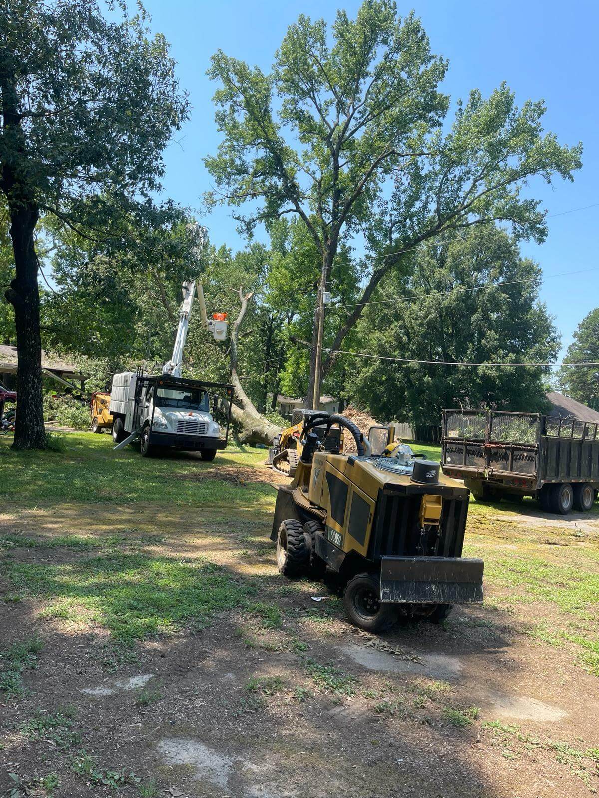 Tree Services Little Rock AR