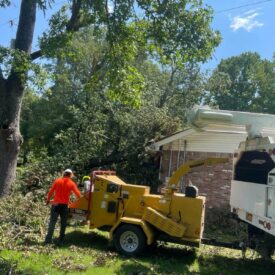 Tree Services Little Rock AR