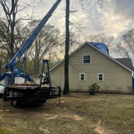 Tree Services Little Rock AR