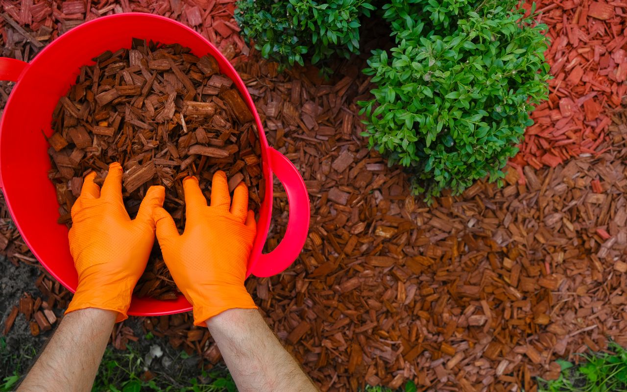 Wood chips used as mulch in a vibrant garden