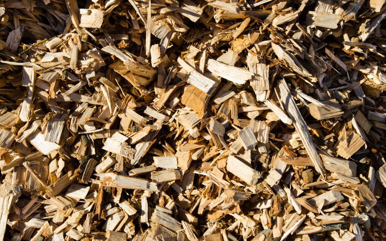 Generating sustainable energy with wood chips