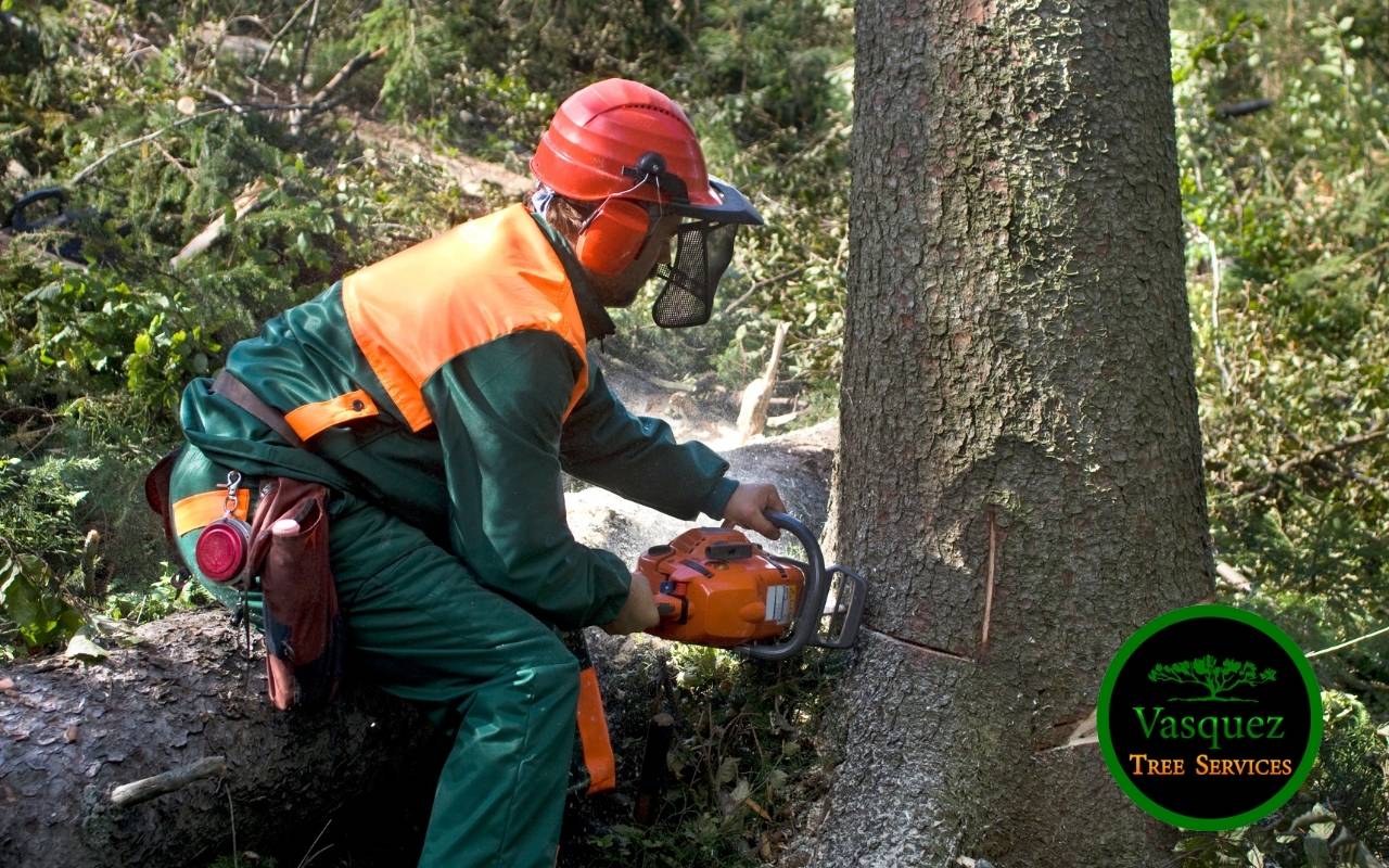 Emergency tree removal services in urban areas