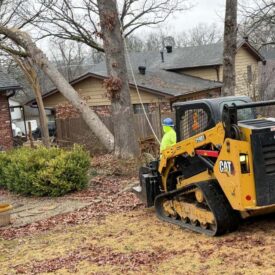 recent-project-vasquez-tree-service-6