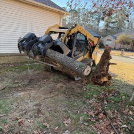 recent-project-vasquez-tree-service-8