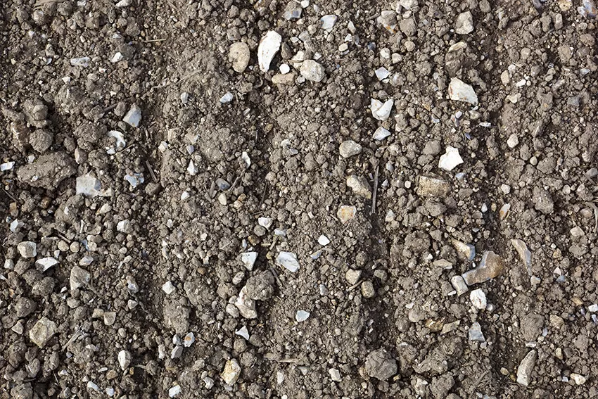 Lime-Rich or Chalky Soil