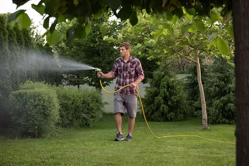 Watering Trees During Droughts