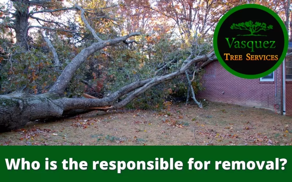 if a neighbor's tree falls on my property who is responsible for removal